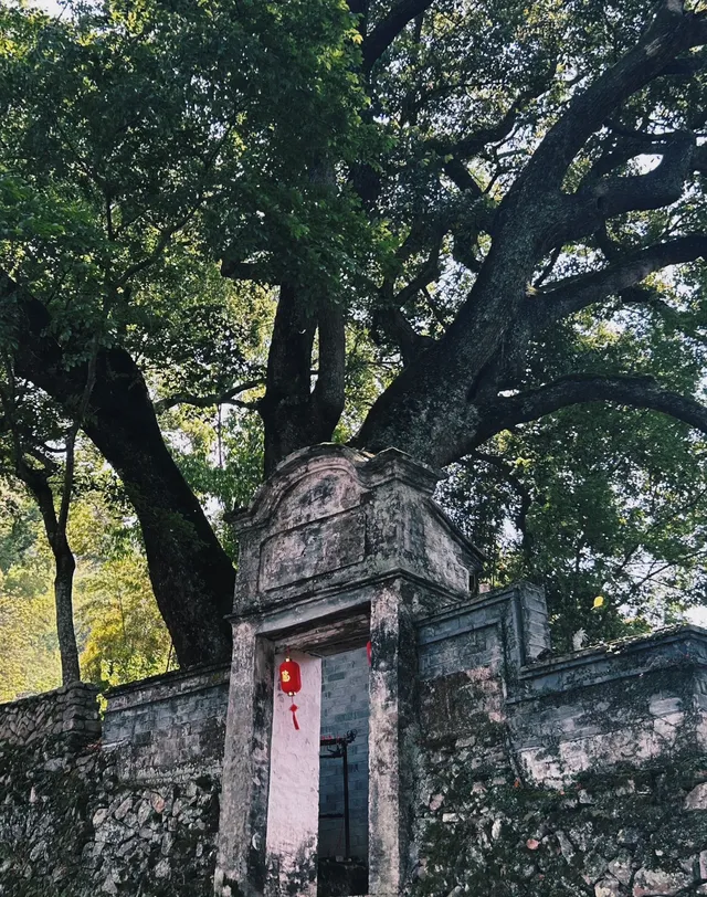 埭頭古村：700多年的元代小眾船型村落