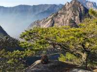 黃山冬季懶人保姆級旅遊攻略