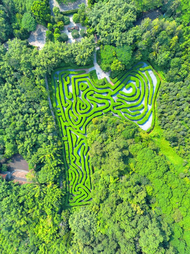 東莞新春逛公園平淡生活裡的小趣味