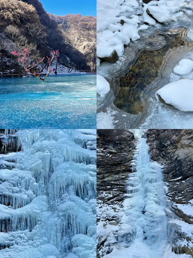 【창안·서안】네 일 삼 박 인당 천 원 안팎, 공주님, 이것 좀 보세요