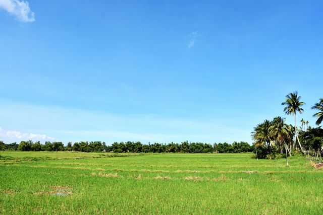 去會安古城外走走，有著更純粹的風景