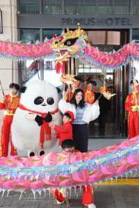 春節去哪兒玩