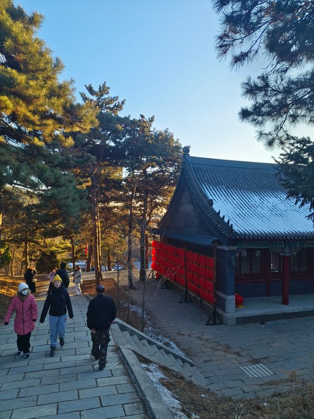 不是雍和宮去不起，而是向陽寺更有性價比！附攻略