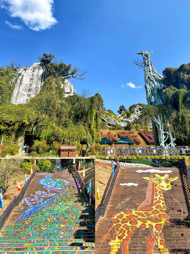 雲南野生動物園真的太離譜了含避坑指南