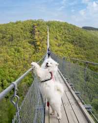 Cross the Hängebrücke Geierlay: A Thrilling Adventure in Germany! 🇩🇪😍