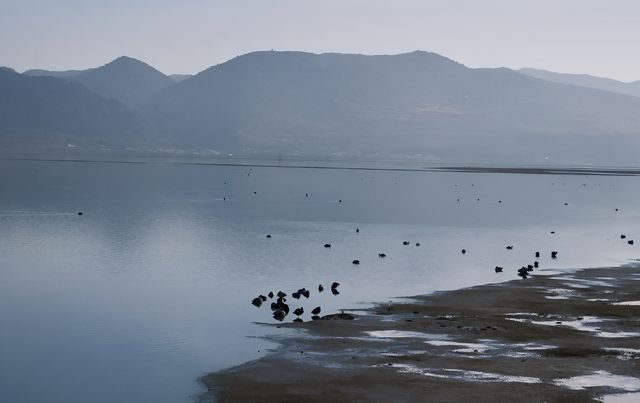 雲南｜納帕海：聖潔之海