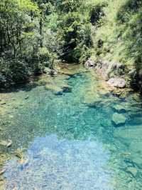 躲進山裡  /  看一汪碧波大奇山國家森林公園