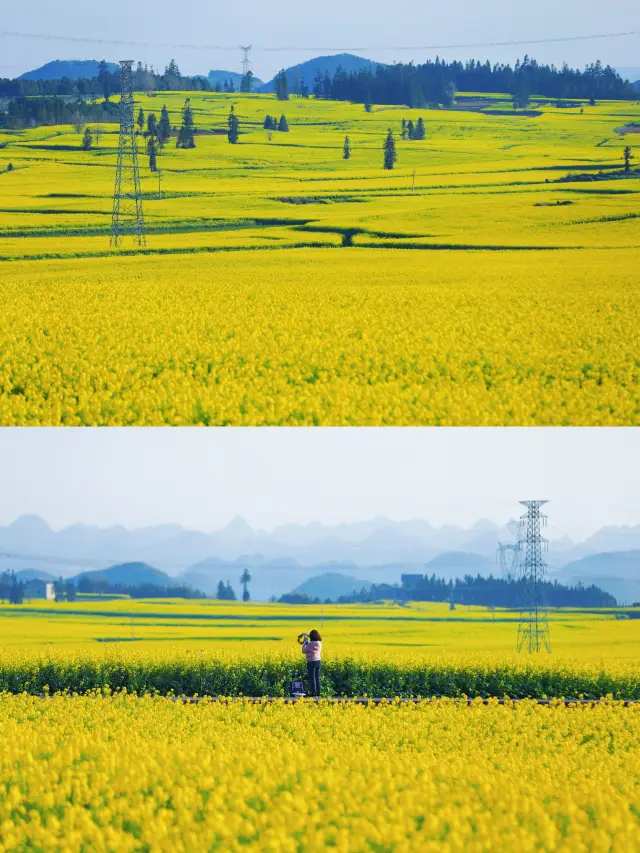 There is a spring called the blooming of rapeseed flowers in Luoping