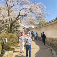 Magical Himeji castle