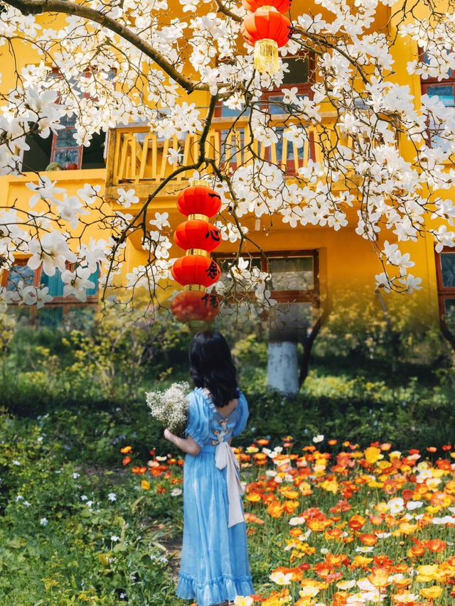 不僅櫻花！杭州春日的 18 個寶藏賞花地等你探索