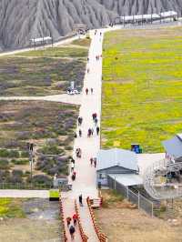 新婚夫婦帶父母新疆旅遊，《飛馳人生》取景地