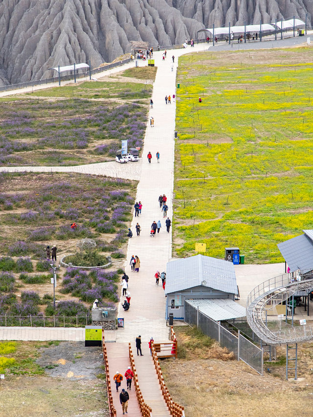 新婚夫婦帶父母新疆旅遊，《飛馳人生》取景地