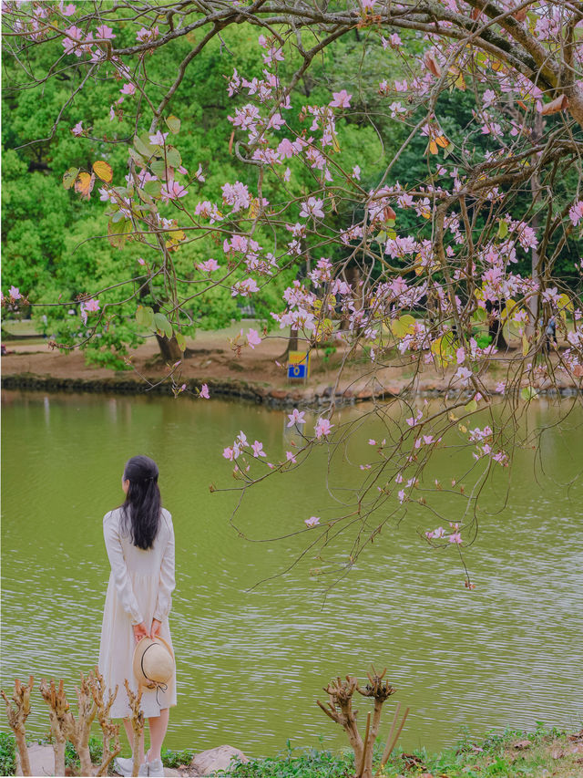 植物園 | 鏡頭下的春和景明