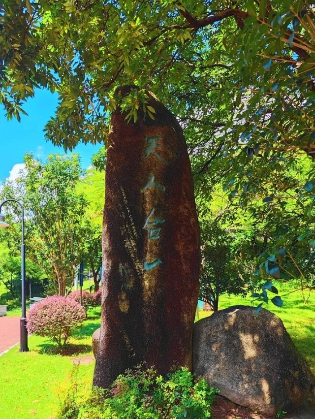 遛娃免費人少可以看海騎行的好去處||美爆了