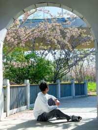 春遊記|在成都發現了超美海棠花海，小眾沒人！