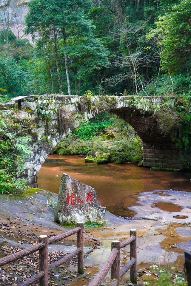 四川旅行｜在古蔺黃荊老林，看八瀑成串