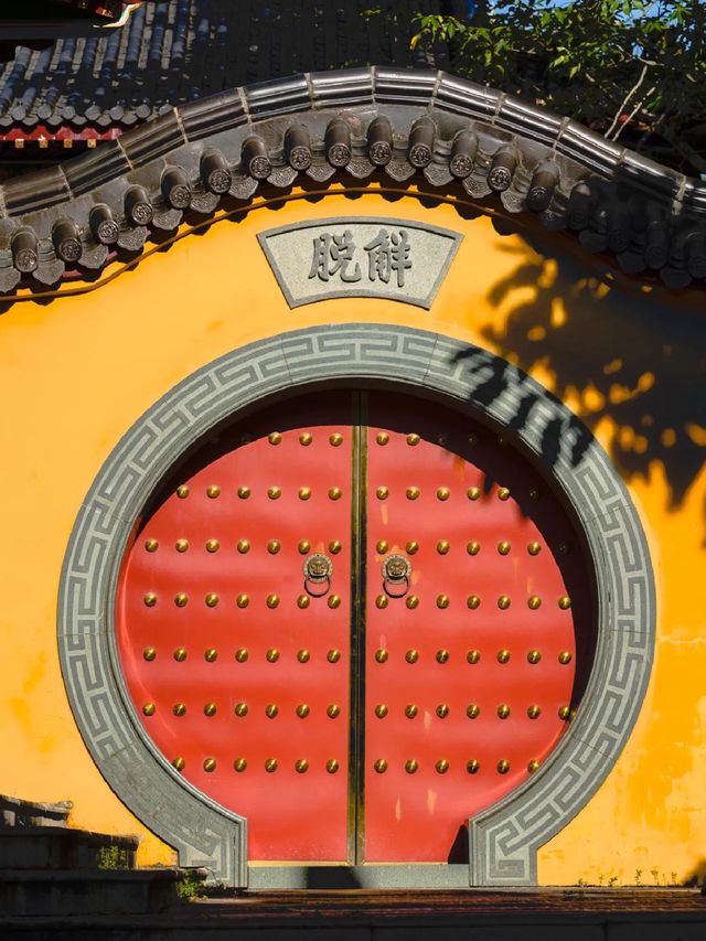 深圳小眾徒步森林，真的太美了～