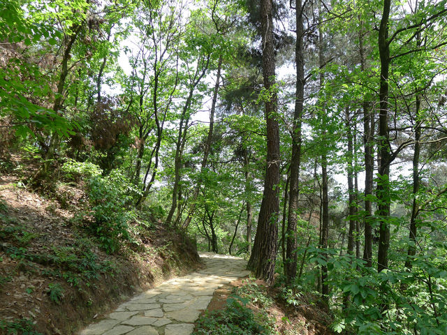 山中有靈泉——登高雲山·雲釋山泉