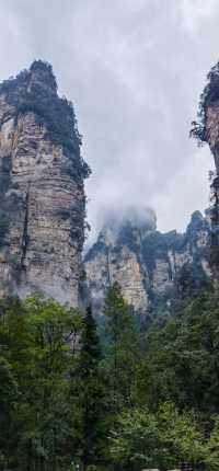 探秘張家界梅景，邂逅冬日仙境