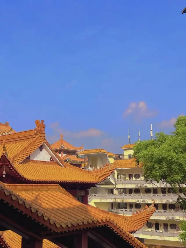 Hongfa Temple in Shenzhen!! The latest and most comprehensive guide