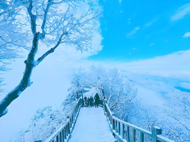 天哪，老君山雪景怎麼可以這麼美!!!