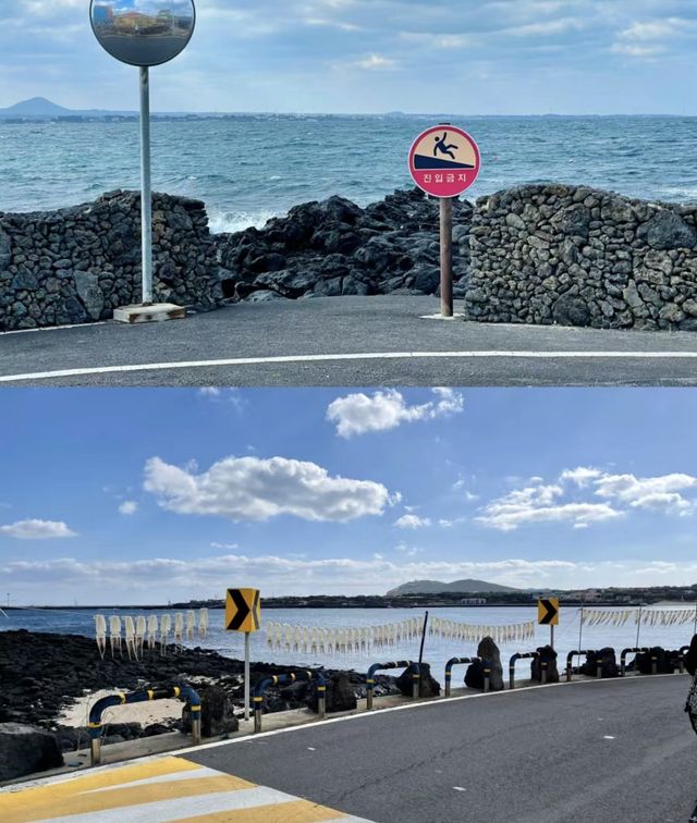 韓國濟州島| 2月自由行公車版省錢攻略