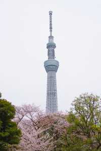 日本晴空塔：東京天空樹
