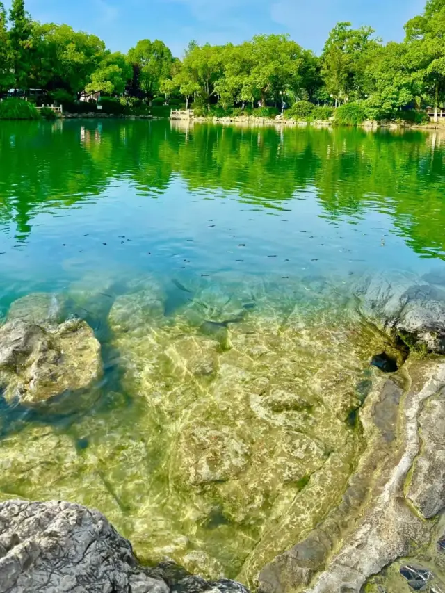 Nanjing! You are foolish not to promote this place! Nanjing's Little Jiuzhaigou!