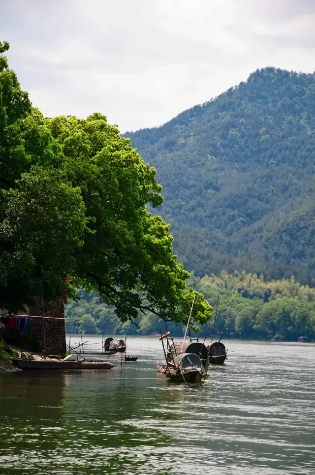 Historical Legacy: The Ancient Weir Painting Village