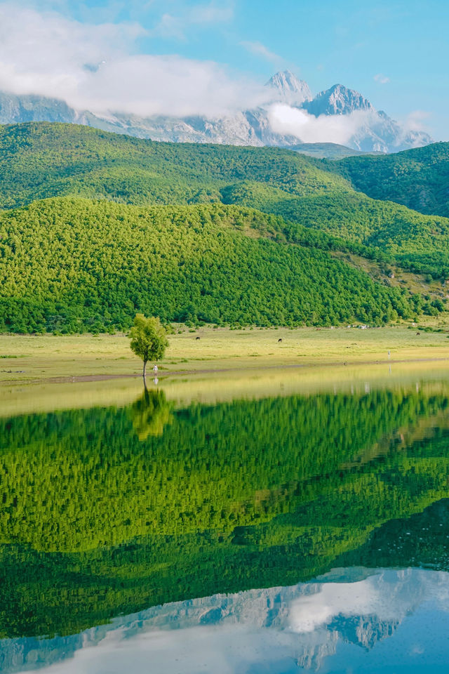 The 9 lesser-known scenic spots in Lijiang that have been bombarded with questions!