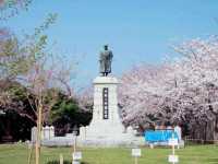 Nishi Hillside Sakura 