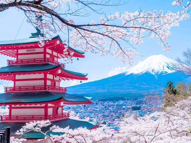 Best Views on Sakura and Fuji