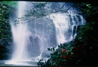 三爪仑國家森林公園