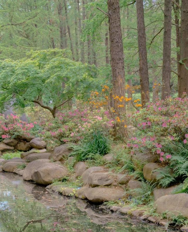 上海共青國家森林公園，遊玩非常美