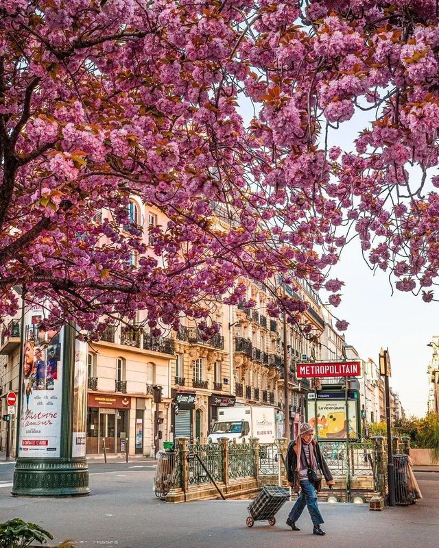 春天的巴黎！
