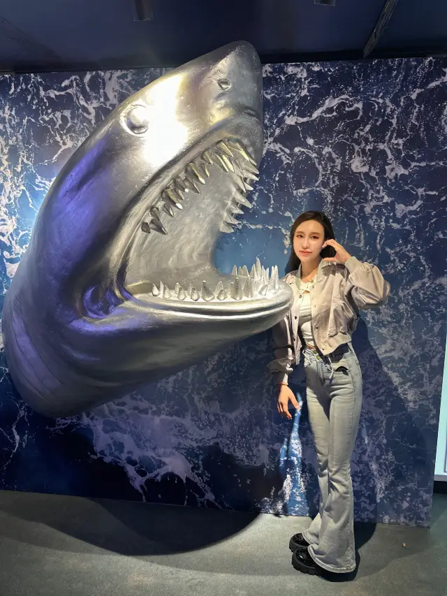 Explore the underwater world and enjoy a wonderful journey