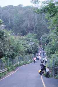 深圳馬峰山瀑布攻略！！打卡避雷，有問必答