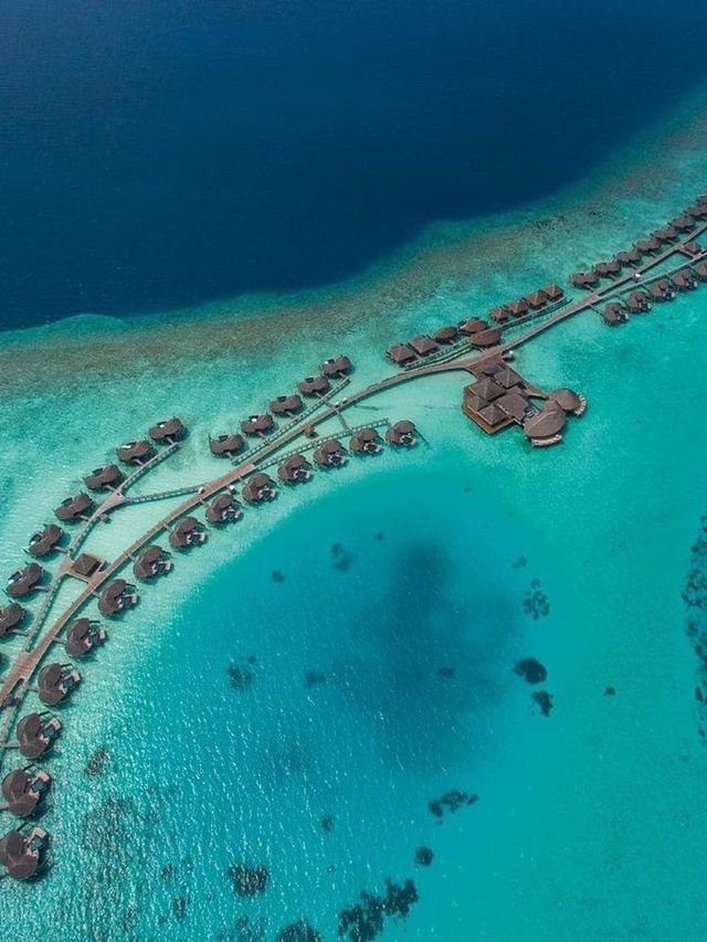 🌴 Maldives Magic: Top Stay at Constance Halaveli 🏖️ 🌴 Maldives Magic: Top Stay at Constance Halaveli 🏖️