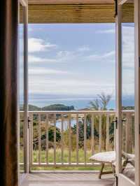 🌟 Luxe Sleeps in Hawke's Bay: Top Hotel Picks 🍇