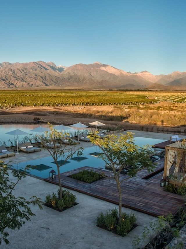 🍇🏨 Unwind in Luxury: Mendoza's Vines Resort & Spa 🍷