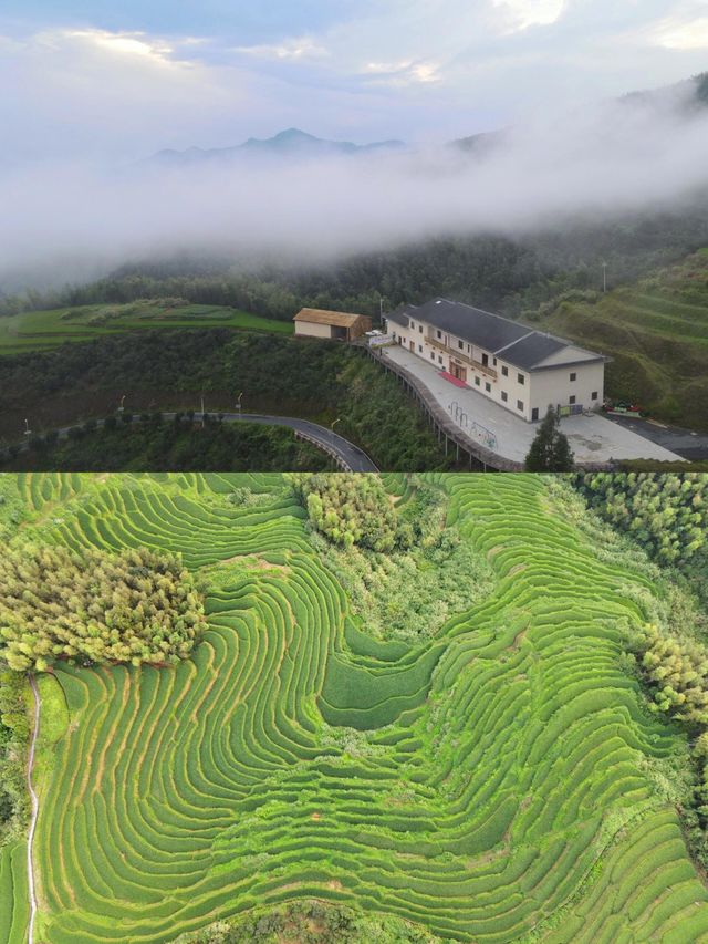 自然田園·上堡梯田