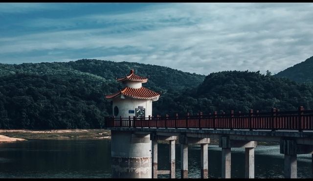 落羽杉紅了！藏在廣州市區的冬日童話森林等了一年