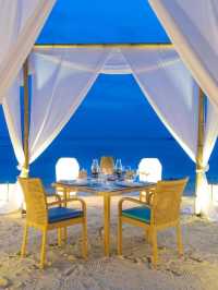 🌴🌊 Panglao's Paradise: Oceanica Resort's Top Picks! 🏖️✨