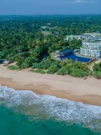 🌴🐢 Serene Sri Lanka: Kosgoda's Top Hotel Picks 🏖️✨