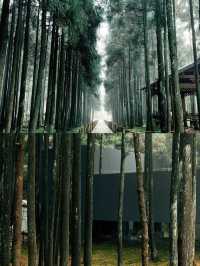 玉苍山