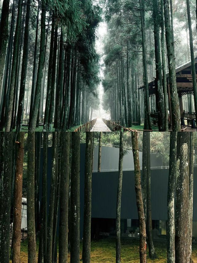 玉苍山