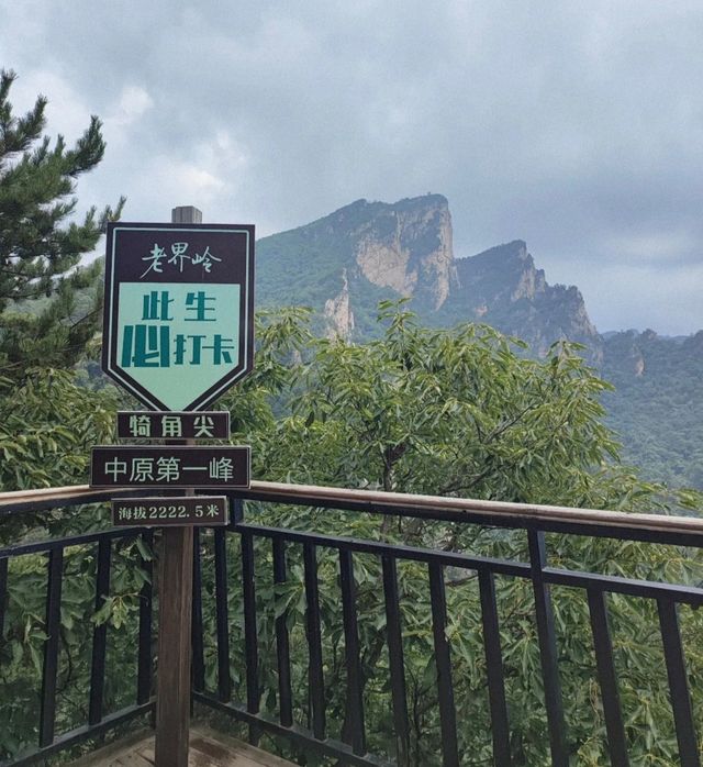 別錯過！南陽出發，西峽老界嶺夏季避暑全攻略！