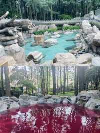 泡湯好去處～金方森林溫泉