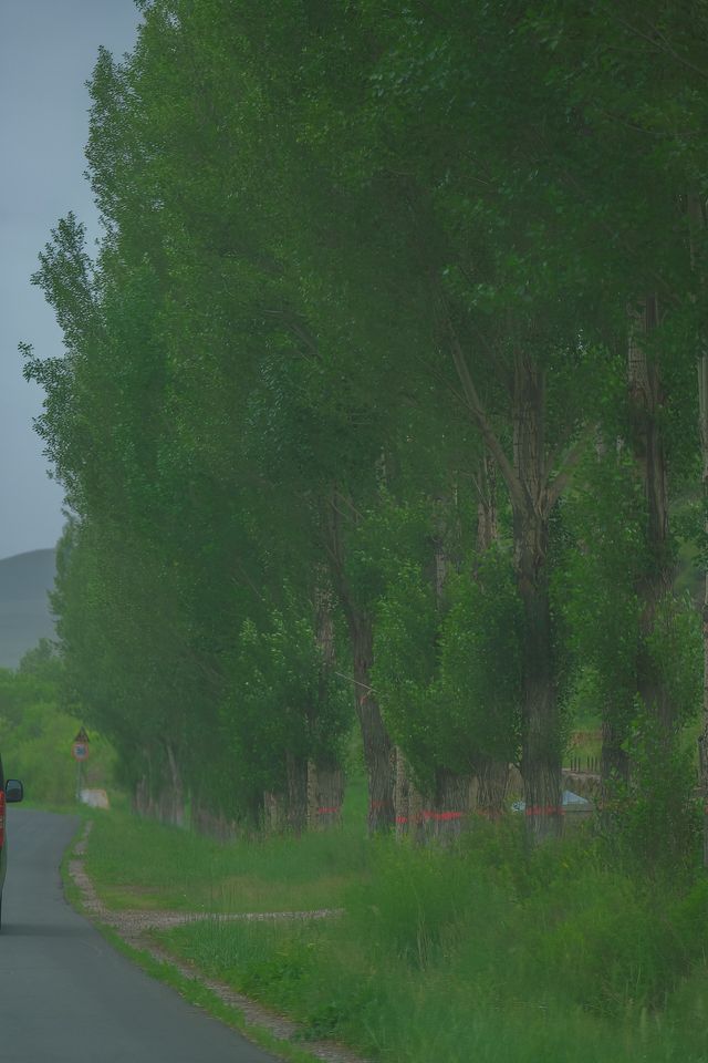 總要去趟草原天路吧，去吹吹夏天的風