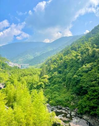 There is a mountain called Tianmu Mountain in Lin'an, Hangzhou, which is known as a forest oxygen bar